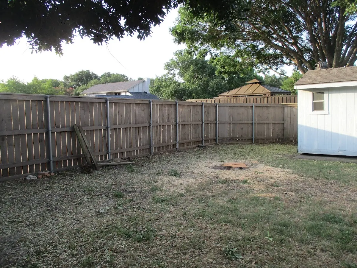 Cleared yard after professional tree removal in Sound Beach