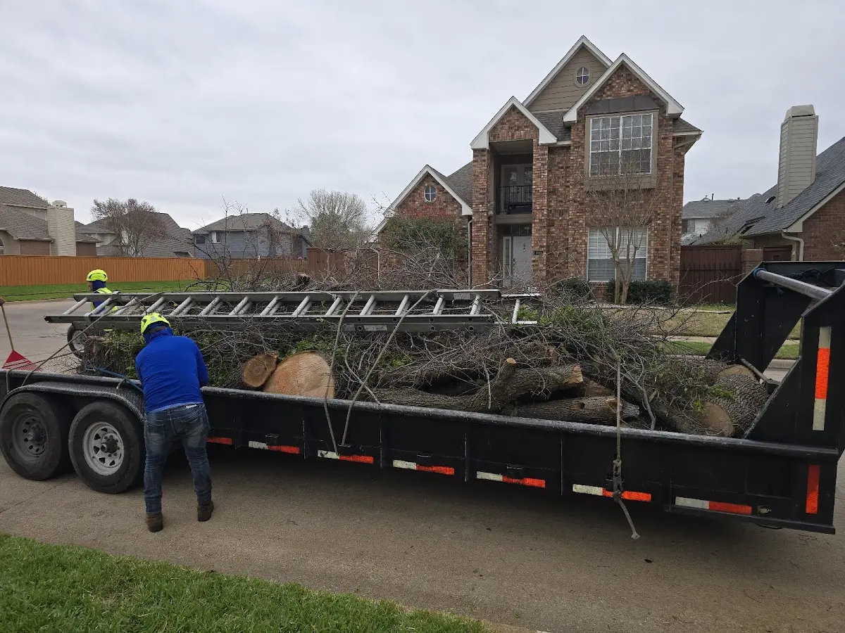Expert Tree Removal with proper safety equipment in Sound Beach